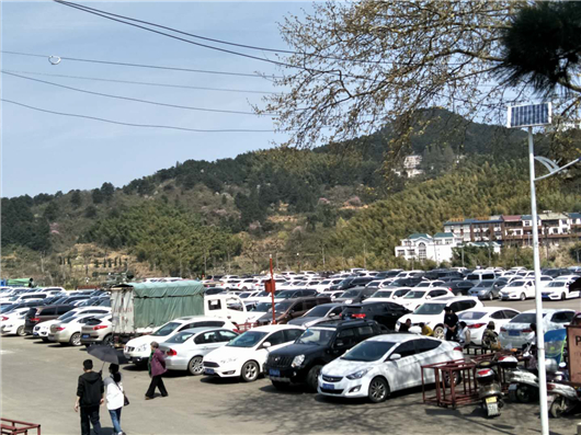【湖北】【客戶(hù)稿件】清明節小長(cháng)假湖北麻城龜峰山景區賞花游異?；鸨? oldsrc=